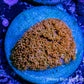 Bernardpora Coral WYSIWYG Freg Bernardpora Coral WYSIWYG Freg Animals & Pet Supplies Bernardpora Coral WYSIWYG Freg Zeo Box Reef
