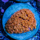 Bernardpora Coral WYSIWYG Freg Bernardpora Coral WYSIWYG Freg Animals & Pet Supplies Bernardpora Coral WYSIWYG Freg Zeo Box Reef