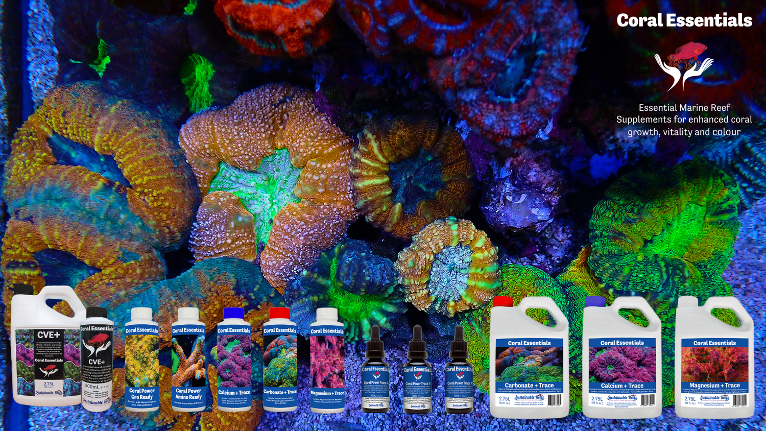 Coral essentials products on a coral reef