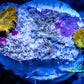 Corellamorph - Gold Morph Coral WYSIWYG 2x Pups E3R1B2 Corellamorph - Gold Morph Coral WYSIWYG 2x Pups E3R1B2 Animals & Pet Supplies Corellamorph - Gold Morph Coral WYSIWYG 2x Pups E3R1B2 Zeo Box Reef