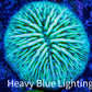 Disc Coral- Ultra Fungia Coral  2cm WYSIWYG Disc Coral- Ultra Fungia Coral  2cm WYSIWYG LPS Disc Coral- Ultra Fungia Coral  2cm WYSIWYG Zeo Box Reef