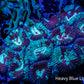 Favia Coral-  Favia 4cm WYSIWYG Favia Coral-  Favia 4cm WYSIWYG Aquarium Decor Favia Coral-  Favia 4cm WYSIWYG Zeo Box Reef