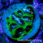 Favia Coral--Favia Frag WYSIWYG Favia Coral--Favia Frag WYSIWYG Aquarium Decor Favia Coral--Favia Frag WYSIWYG Zeo Box Reef
