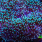 Leather Coral- Green Long Polyp Toadstool Leather 9cm WYSIWYG  MB2 Leather Coral- Green Long Polyp Toadstool Leather 9cm WYSIWYG  MB2 Soft Coral Leather Coral- Green Long Polyp Toadstool Leather 9cm WYSIWYG  MB2 Zeo Box Reef