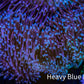 Leather Coral- Long Polyp Toadstool Leather 8cm WYSIWYG LB2 Leather Coral- Long Polyp Toadstool Leather 8cm WYSIWYG LB2 Soft Coral Leather Coral- Long Polyp Toadstool Leather 8cm WYSIWYG LB2 Zeo Box Reef