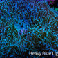 Long Green Polyp Leather Coral, WYSIWYG 11cm MB1 Long Green Polyp Leather Coral, WYSIWYG 11cm MB1 Soft Coral Long Green Polyp Leather Coral, WYSIWYG 11cm MB1 Zeo Box Reef