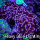 Purple Hammer Coral -  WYSIWYG 9cm A5R5B1 Purple Hammer Coral -  WYSIWYG 9cm A5R5B1 Aquarium Decor Purple Hammer Coral -  WYSIWYG 9cm A5R5B1 Zeo Box Reef