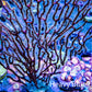 Purple White Polyp Non-Photosynthetic Gorgonian Coral WYSIWYG Purple White Polyp Non-Photosynthetic Gorgonian Coral WYSIWYG Soft Coral Purple White Polyp Non-Photosynthetic Gorgonian Coral WYSIWYG Zeo Box Reef