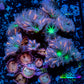 Soft Coral Combo- Fireworks 🎇 Clove Polyps And Sukura Sunrise Frag Soft Coral Combo- Fireworks 🎇 Clove Polyps And Sukura Sunrise Frag Soft Coral Soft Coral Combo- Fireworks 🎇 Clove Polyps And Sukura Sunrise Frag Zeo Box Reef
