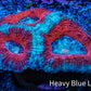 Ultra Acan Coral - Micromussa Lordhowensis - Acan Frag A3R3B1 Ultra Acan Coral - Micromussa Lordhowensis - Acan Frag A3R3B1 LPS Coral Ultra Acan Coral - Micromussa Lordhowensis - Acan Frag A3R3B1 Zeo Box Reef