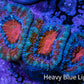 Ultra Acan Coral - Micromussa Lordhowensis - Acan Frag WYSIWYG C3R2B1 Ultra Acan Coral - Micromussa Lordhowensis - Acan Frag WYSIWYG C3R2B1 LPS Coral Ultra Acan Coral - Micromussa Lordhowensis - Acan Frag WYSIWYG C3R2B1 Zeo Box Reef