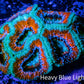 Ultra Acan Coral - Micromussa Lordhowensis - Acan WYSIWYG 6cm Ultra Acan Coral - Micromussa Lordhowensis - Acan WYSIWYG 6cm LPS Coral Ultra Acan Coral - Micromussa Lordhowensis - Acan WYSIWYG 6cm Zeo Box Reef