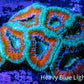 Ultra Acan Coral - Micromussa Lordhowensis - Acan WYSIWYG 6cm Ultra Acan Coral - Micromussa Lordhowensis - Acan WYSIWYG 6cm LPS Coral Ultra Acan Coral - Micromussa Lordhowensis - Acan WYSIWYG 6cm Zeo Box Reef