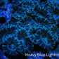 Ultra Acan Coral - Micromussa Lordhowensis - Acan WYSIWYG 9cm A2R2B1 Ultra Acan Coral - Micromussa Lordhowensis - Acan WYSIWYG 9cm A2R2B1 LPS Coral Ultra Acan Coral - Micromussa Lordhowensis - Acan WYSIWYG 9cm A2R2B1 Zeo Box Reef