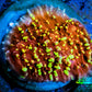 Ultra Chalice Coral- Flamethrower 🔥  WYSIWYG Frag Ultra Chalice Coral- Flamethrower 🔥  WYSIWYG Frag LPS Ultra Chalice Coral- Flamethrower 🔥  WYSIWYG Frag Zeo Box Reef