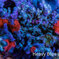 Ultra Corellamorph - Morph Coral Rock WYSIWYG 4cm Ultra Corellamorph - Morph Coral Rock WYSIWYG 4cm Animals & Pet Supplies Ultra Corellamorph - Morph Coral Rock WYSIWYG 4cm Zeo Box Reef