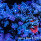 Ultra Corellamorph - Morph Coral Rock WYSIWYG 4cm Ultra Corellamorph - Morph Coral Rock WYSIWYG 4cm Animals & Pet Supplies Ultra Corellamorph - Morph Coral Rock WYSIWYG 4cm Zeo Box Reef
