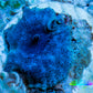 Ultra Corellamorph - Morph Coral WYSIWYG 1.5cm E2R1B2 Ultra Corellamorph - Morph Coral WYSIWYG 1.5cm E2R1B2 Animals & Pet Supplies Ultra Corellamorph - Morph Coral WYSIWYG 1.5cm E2R1B2 Zeo Box Reef