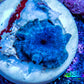 Ultra Corellamorph - Morph Coral WYSIWYG 1.5cm E5R1B2 Ultra Corellamorph - Morph Coral WYSIWYG 1.5cm E5R1B2 Animals & Pet Supplies Ultra Corellamorph - Morph Coral WYSIWYG 1.5cm E5R1B2 Zeo Box Reef