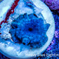 Ultra Corellamorph - Morph Coral WYSIWYG 1.5cm E5R1B2 Ultra Corellamorph - Morph Coral WYSIWYG 1.5cm E5R1B2 Animals & Pet Supplies Ultra Corellamorph - Morph Coral WYSIWYG 1.5cm E5R1B2 Zeo Box Reef
