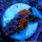 Ultra Corellamorph - Morph Coral WYSIWYG 2x 0.5cm Polyps F6R1B2 Ultra Corellamorph - Morph Coral WYSIWYG 2x 0.5cm Polyps F6R1B2 Animals & Pet Supplies Ultra Corellamorph - Morph Coral WYSIWYG 2x 0.5cm Polyps F6R1B2 Zeo Box Reef