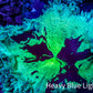 Ultra Elegance Coral- Purple Tip  12cm WYSIWYG Ultra Elegance Coral- Purple Tip  12cm WYSIWYG Aquarium Decor Ultra Elegance Coral- Purple Tip  12cm WYSIWYG Zeo Box Reef