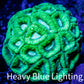 Ultra Favia Coral - Lemon Lime Favia 8cm Ultra Favia Coral - Lemon Lime Favia 8cm Aquarium Decor Ultra Favia Coral - Lemon Lime Favia 8cm Zeo Box Reef