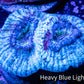 Ultra Favia Coral--WYSIWYG Frag Ultra Favia Coral--WYSIWYG Frag Aquarium Decor Ultra Favia Coral--WYSIWYG Frag Zeo Box Reef