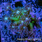 Ultra GlitterGoniopora Coral - Glitter Bomb Goni Frag - WYSIWYG Ultra GlitterGoniopora Coral - Glitter Bomb Goni Frag - WYSIWYG Animals & Pet Supplies Ultra GlitterGoniopora Coral - Glitter Bomb Goni Frag - WYSIWYG Zeo Box Reef