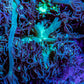 Ultra Goniopora Coral Frag -  WYSIWYG B11R3B1 Ultra Goniopora Coral Frag -  WYSIWYG B11R3B1 Animals & Pet Supplies Ultra Goniopora Coral Frag -  WYSIWYG B11R3B1 Zeo Box Reef