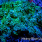 Ultra Goniopora Coral -WYSIWYG 4cm Ultra Goniopora Coral -WYSIWYG 4cm Animals & Pet Supplies Ultra Goniopora Coral -WYSIWYG 4cm Zeo Box Reef