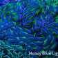 Ultra Hammer Coral -  WYSIWYG 11cm A2R5B1 Ultra Hammer Coral -  WYSIWYG 11cm A2R5B1 Aquarium Decor Ultra Hammer Coral -  WYSIWYG 11cm A2R5B1 Zeo Box Reef