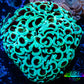 Ultra Hammer Coral -  WYSIWYG 7cm Ultra Hammer Coral -  WYSIWYG 7cm Aquarium Decor Ultra Hammer Coral -  WYSIWYG 7cm Zeo Box Reef