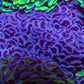 Ultra Hammer Coral -  WYSIWYG 9cm F4R5B1 Ultra Hammer Coral -  WYSIWYG 9cm F4R5B1 Aquarium Decor Ultra Hammer Coral -  WYSIWYG 9cm F4R5B1 Zeo Box Reef