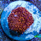 Ultra Interstellar Corallimorph Coral 1.5cm WYSIWYG C1R2B2 Ultra Interstellar Corallimorph Coral 1.5cm WYSIWYG C1R2B2 Animals & Pet Supplies Ultra Interstellar Corallimorph Coral 1.5cm WYSIWYG C1R2B2 Zeo Box Reef