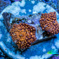 Ultra Interstellar Corallimorph Coral 2 x 1cm WYSIWYG A1R1B2 Ultra Interstellar Corallimorph Coral 2 x 1cm WYSIWYG A1R1B2 Animals & Pet Supplies Ultra Interstellar Corallimorph Coral 2 x 1cm WYSIWYG A1R1B2 Zeo Box Reef