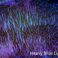 Ultra Long Polyp Leather Coral WYSIWYG 10cm Ultra Long Polyp Leather Coral WYSIWYG 10cm Soft Coral Ultra Long Polyp Leather Coral WYSIWYG 10cm Zeo Box Reef