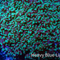 Ultra  Mint Green Tip Frogspawn Coral -  WYSIWYG 10cm  D5R5B1 Ultra  Mint Green Tip Frogspawn Coral -  WYSIWYG 10cm  D5R5B1 LPS Ultra  Mint Green Tip Frogspawn Coral -  WYSIWYG 10cm  D5R5B1 Zeo Box Reef