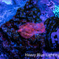 Ultra Peach Bubble Corallimorph Coral WYSIWYG 1cm Ultra Peach Bubble Corallimorph Coral WYSIWYG 1cm Animals & Pet Supplies Ultra Peach Bubble Corallimorph Coral WYSIWYG 1cm Zeo Box Reef