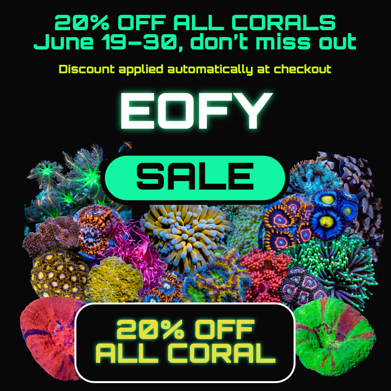 Promotional poster for a coral sale with colorful corals on a black background