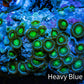 Zoanthid coral - Wild Zoa Rock WYSIWYG 6cm Zoanthid coral - Wild Zoa Rock WYSIWYG 6cm LPS Zoanthid coral - Wild Zoa Rock WYSIWYG 6cm Zeo Box Reef