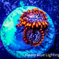 Zoanthid coral -  Zoa Frag WYSIWYG D4R6B2 Zoanthid coral -  Zoa Frag WYSIWYG D4R6B2 LPS Zoanthid coral -  Zoa Frag WYSIWYG D4R6B2 Zeo Box Reef