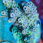 Acropora Coral- SPS Frag- ZBR Sensation Acropora Coral- SPS Frag- ZBR Sensation SPS Acropora Coral- SPS Frag- ZBR Sensation Zeo Box Reef