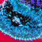 Anemone - Rock Flower Anemone WYSIWYG 4cm Anemone - Rock Flower Anemone WYSIWYG 4cm Animals & Pet Supplies Anemone - Rock Flower Anemone WYSIWYG 4cm Zeo Box Reef