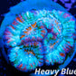 Chalice Coral- LPS Frag-  Chalice WYSIWYG Chalice Coral- LPS Frag-  Chalice WYSIWYG LPS Chalice Coral- LPS Frag-  Chalice WYSIWYG Zeo Box Reef