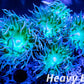 Duncanopsammia - Toxic Green Stem Duncan Coral Colony 7cm Duncanopsammia - Toxic Green Stem Duncan Coral Colony 7cm LPS Duncanopsammia - Toxic Green Stem Duncan Coral Colony 7cm Zeo Box Reef