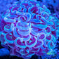 Euphyllia Ancora Coral- LPS Ultra Hammer Frag WYSIWYG 4cm Euphyllia Ancora Coral- LPS Ultra Hammer Frag WYSIWYG 4cm Aquarium Decor Euphyllia Ancora Coral- LPS Ultra Hammer Frag WYSIWYG 4cm Zeo Box Reef