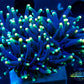 Euphyllia Coral- LPS- Yellow Tip RASTA Torch Coral single head Euphyllia Coral- LPS- Yellow Tip RASTA Torch Coral single head Hobbies & Creative Arts Euphyllia Coral- LPS- Yellow Tip RASTA Torch Coral single head Zeo Box Reef Aquaculture
