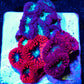 LPS- Blastomussa wellsi coral- Blasto Garden WYSIWYG LPS- Blastomussa wellsi coral- Blasto Garden WYSIWYG LPS LPS- Blastomussa wellsi coral- Blasto Garden WYSIWYG Zeo Box Reef