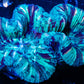 LPS- Trachyphyllia- WA Trachy WYSIWYG 6cm LPS- Trachyphyllia- WA Trachy WYSIWYG 6cm LPS LPS- Trachyphyllia- WA Trachy WYSIWYG 6cm Zeo Box Reef